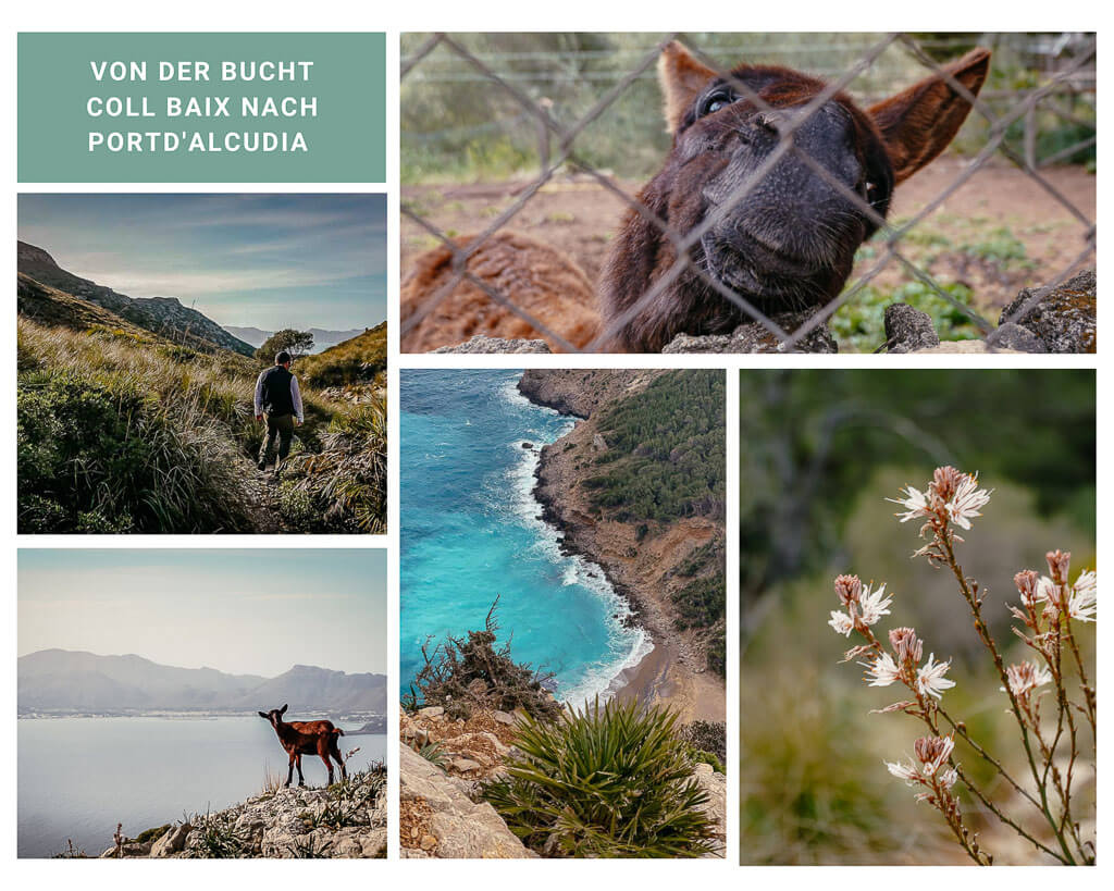 Wandern in der Serra de Tramuntana von der Bucht Coll Baix nach Port d'Alcudia