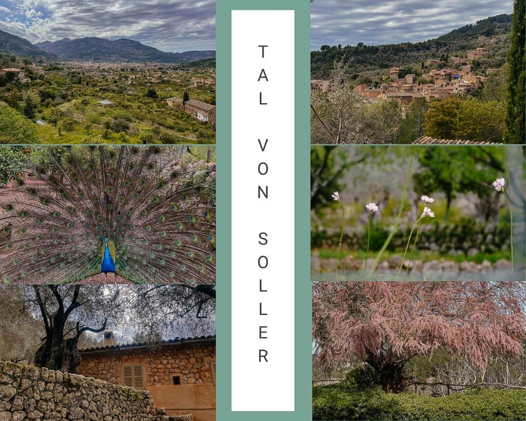 Die Bergwelt der Serra de Tramuntana im Tal von Soller