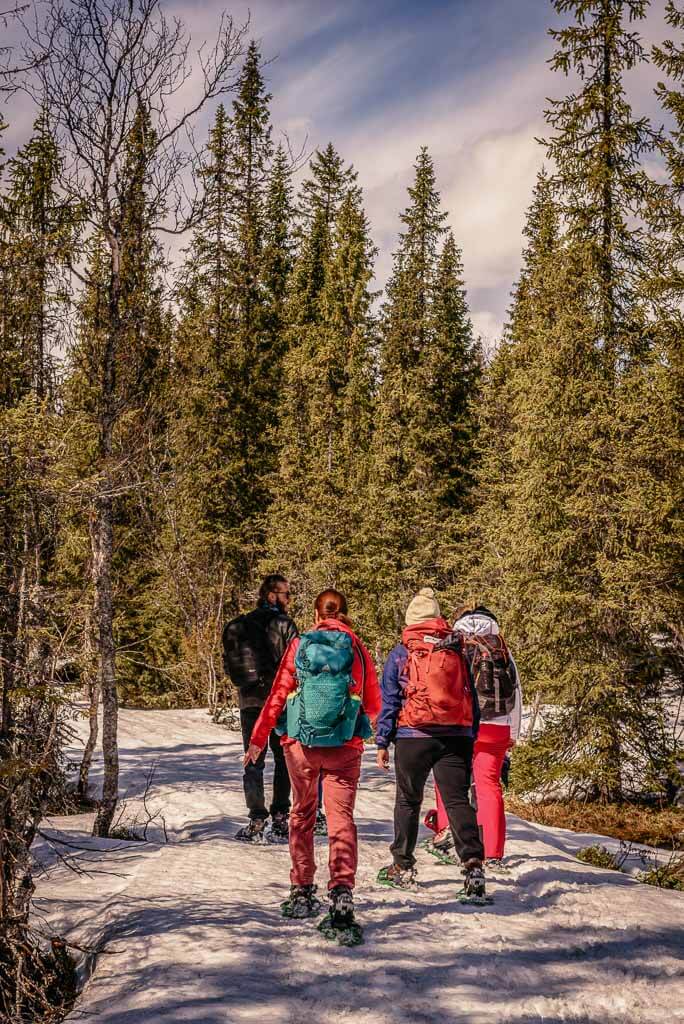J&auml;mtland - Schneeschuhtour in &Aring;re
