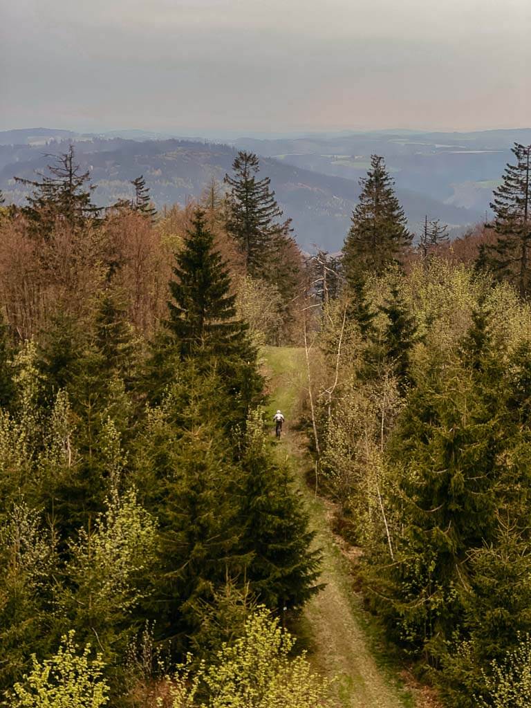 Panorama und Waldweg vom Aussichtsturm am D&ouml;braberg