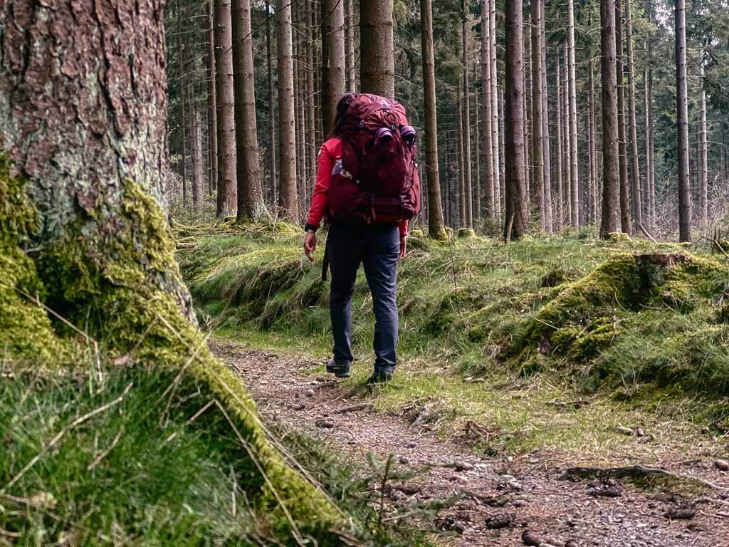Wandern im Frankenwald auf einem Waldweg