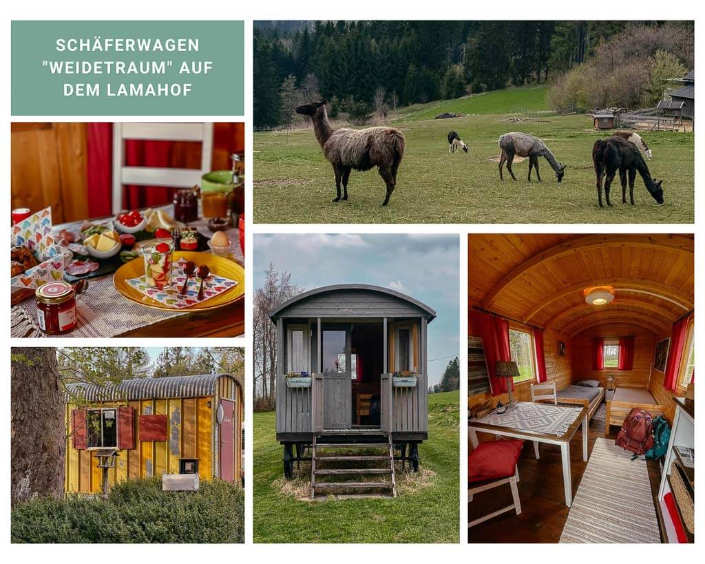 Qualit&auml;tsregion Frankenwald - &Uuml;bernachtung im Sch&auml;ferwagen Weidetraum auf dem Mitimino Lamahof