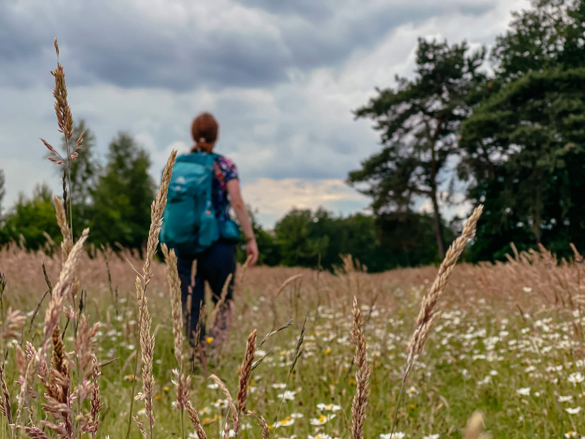 Achterhoek in Gelderland - Couchflucht beim Wandern
