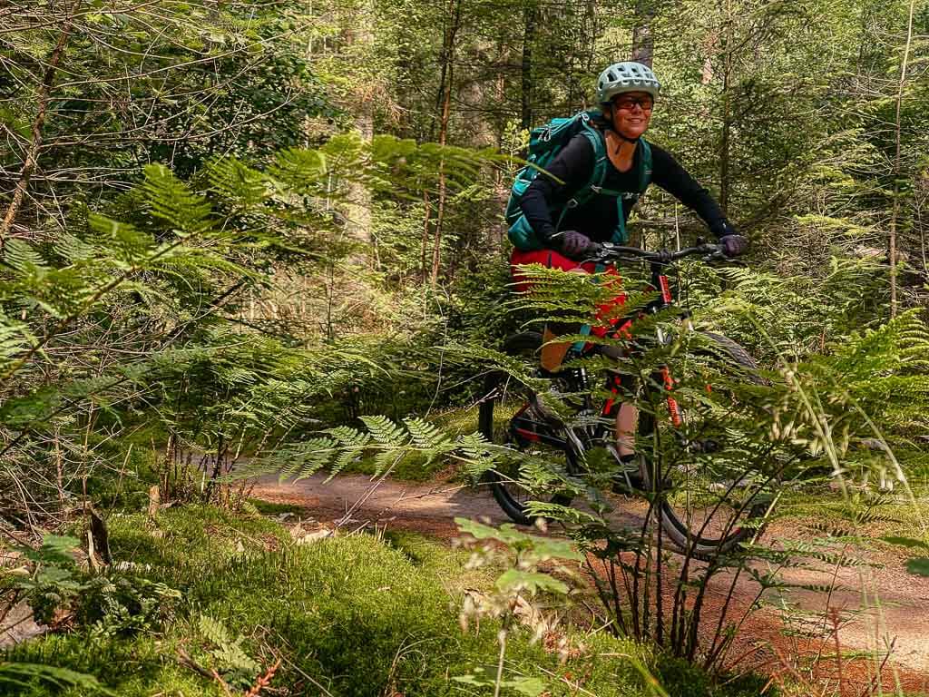 Achterhoek - Mountainbike-Route Lochem mit Couchflucht