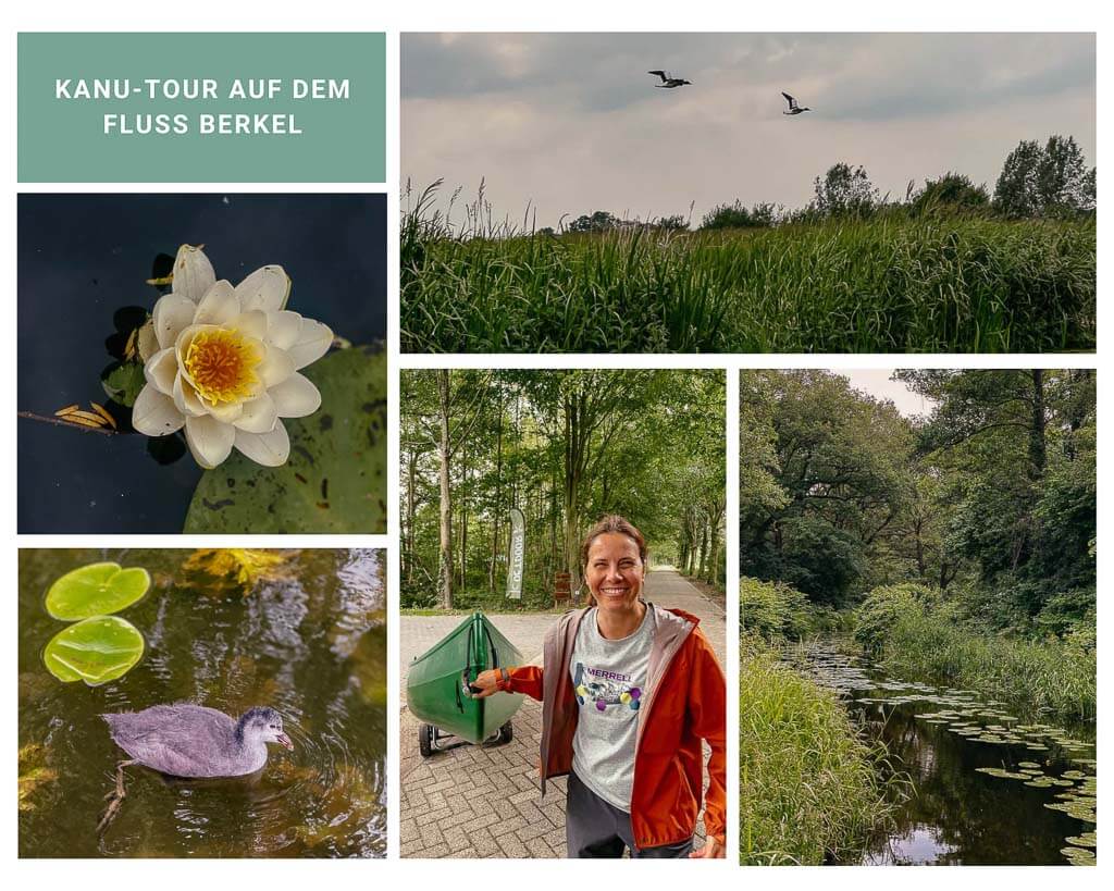 Kanu Tour auf dem Fluss Berkel in Achterhoek mit Couchflucht