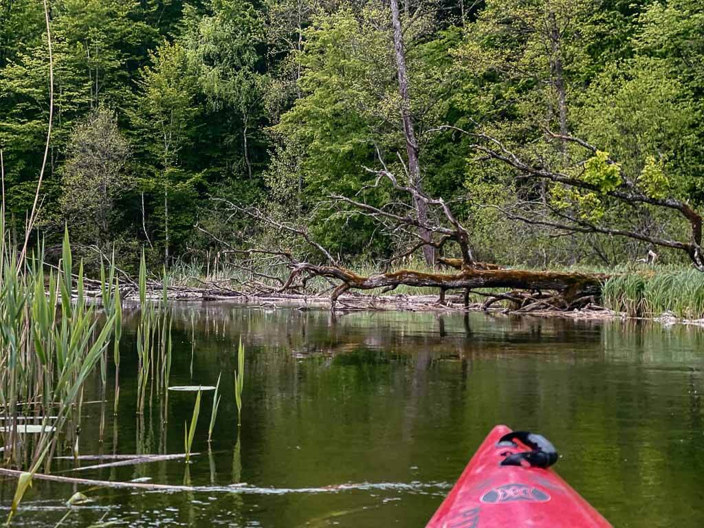 Masuren-Paddeln mit dem Kajak auf der Krutynia