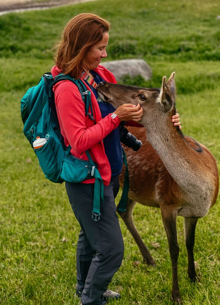 Couchflucht mit Hirschkuh in Kosewo Górne in Masuren