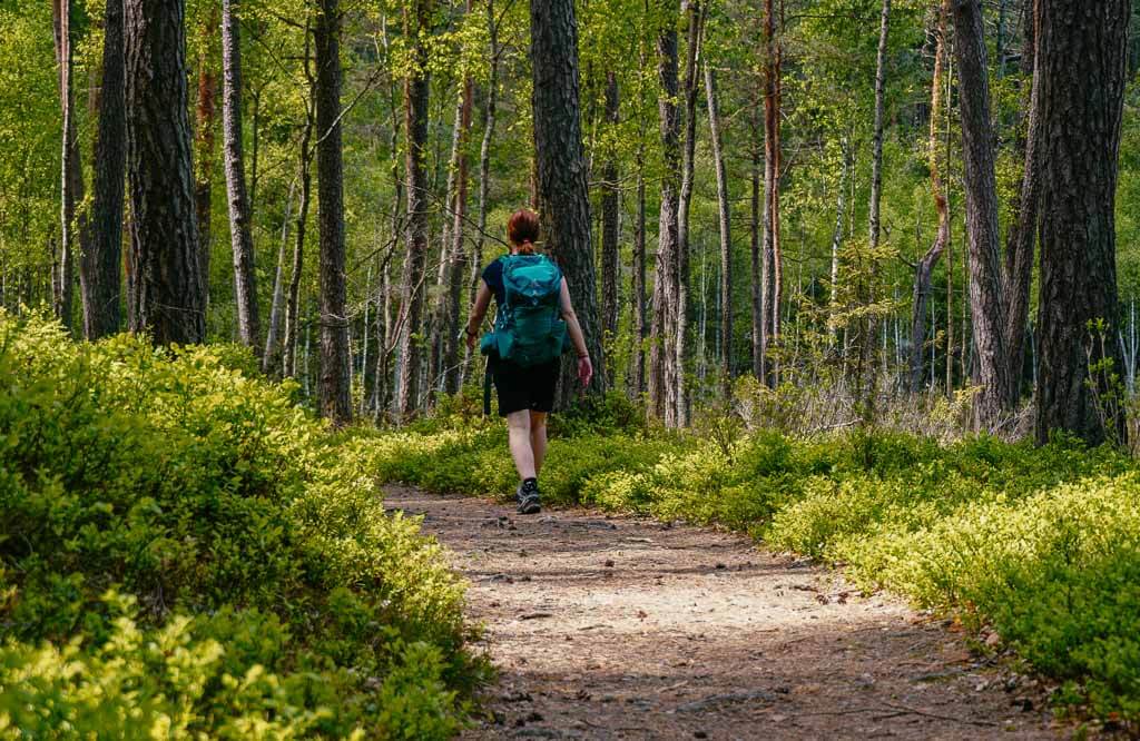 Masuren - Wandern mit Couchflucht im Naturreservat Zakret bei Krutyn