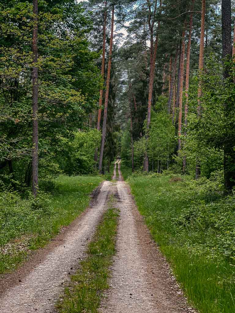 Masuren - Forstweg für Radtouren bei Pierslawek