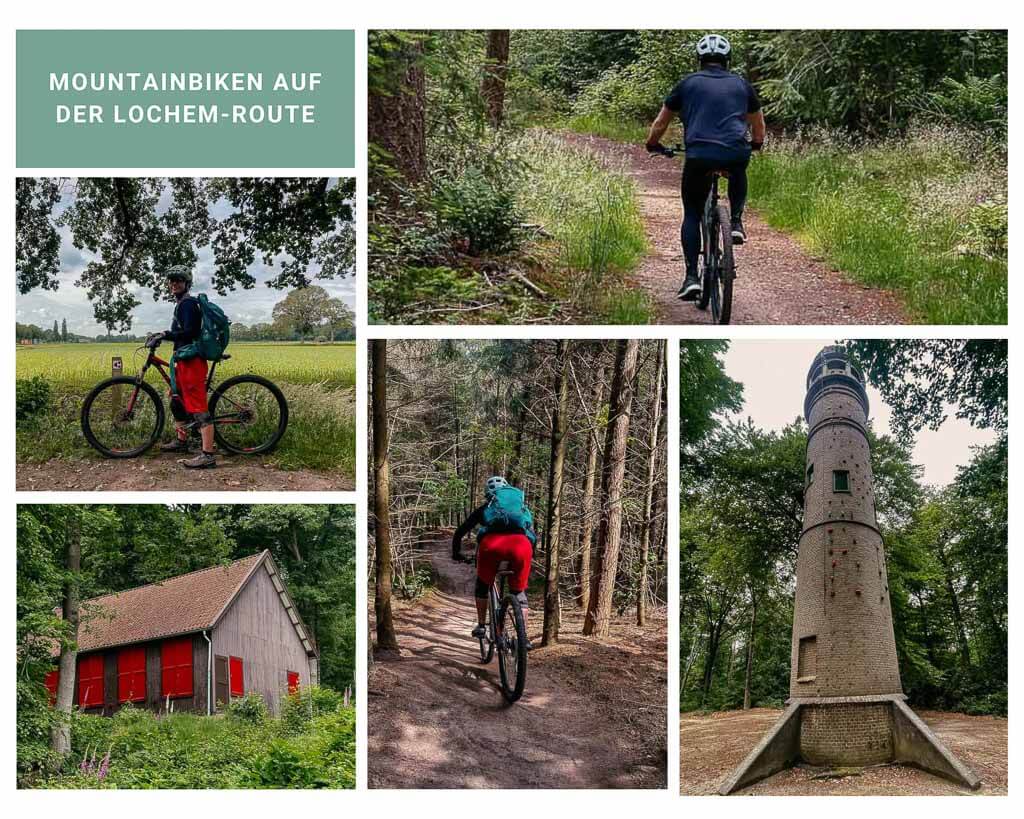 Achterhoek - Mountainbiken auf den Trails rund um Lochem mit Couchflucht