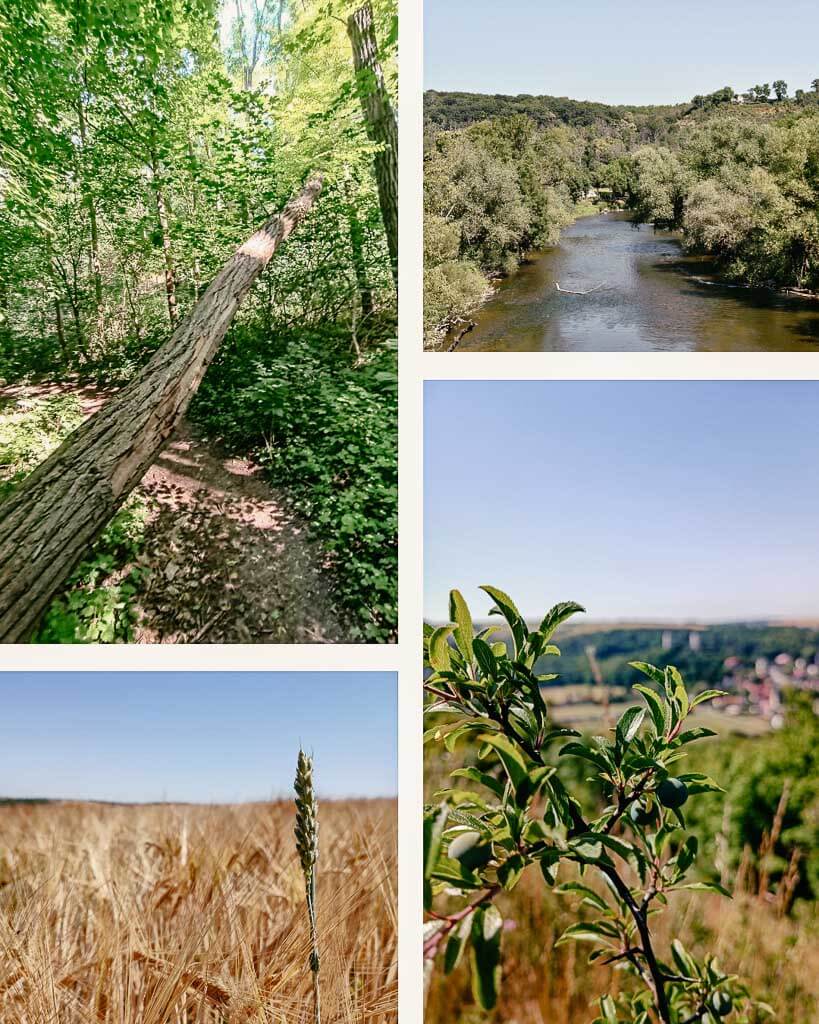Wanderung auf dem Geopfad bei Bad Kösen in der Saale Unstrut Region