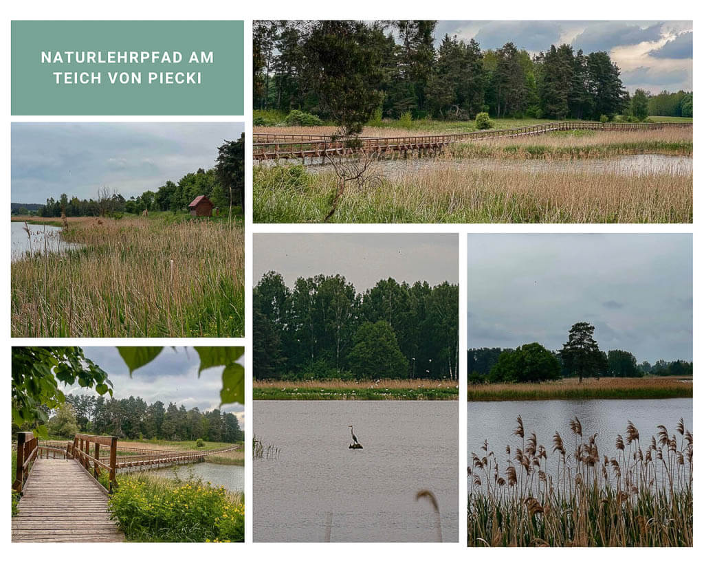 Naturlehrpfad am Teich von Piecki in Masuren