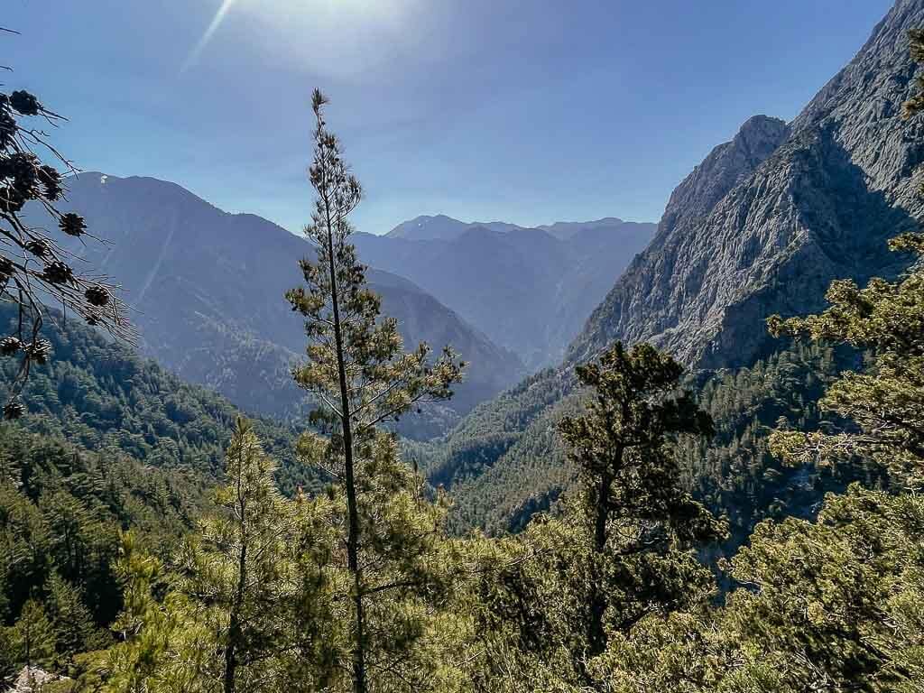 Kretas Schluchten - Berge und Wald in der Samaria Schlucht