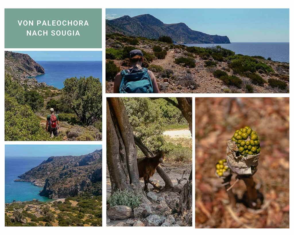 Wandern auf dem K&uuml;stenwanderweg E4 von Paleochora nach Sougia