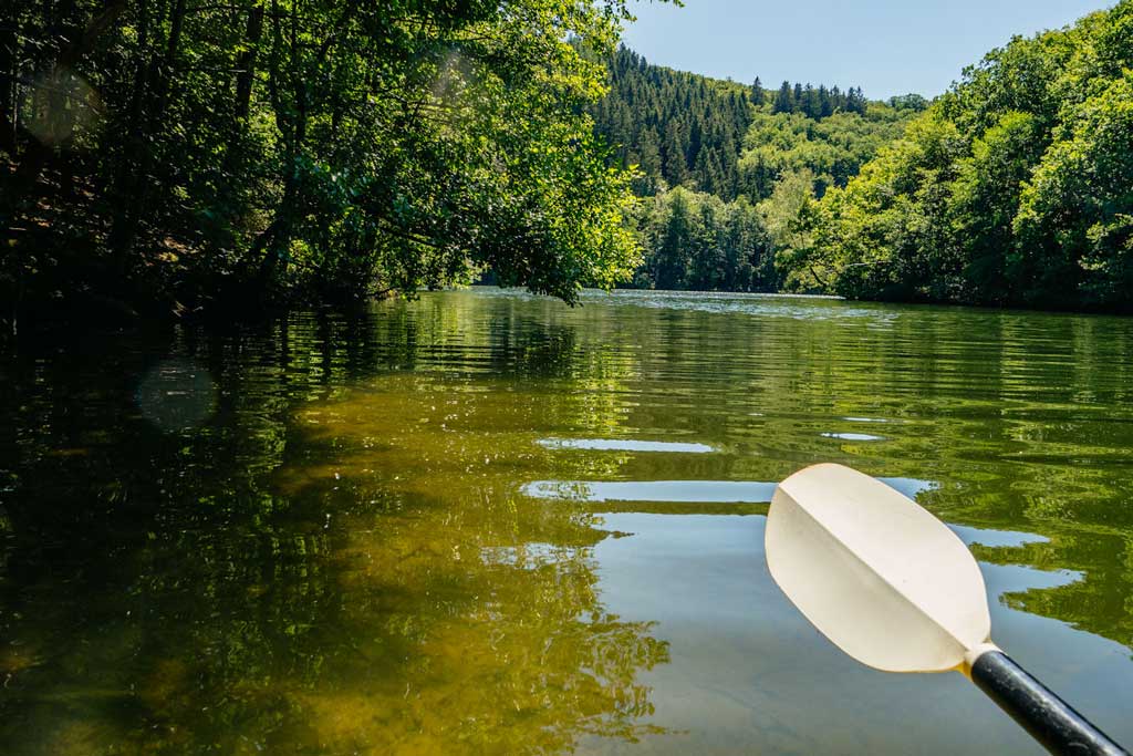 Paddel &uuml;ber der Wasseroberfl&auml;che mit umgebendem Wald