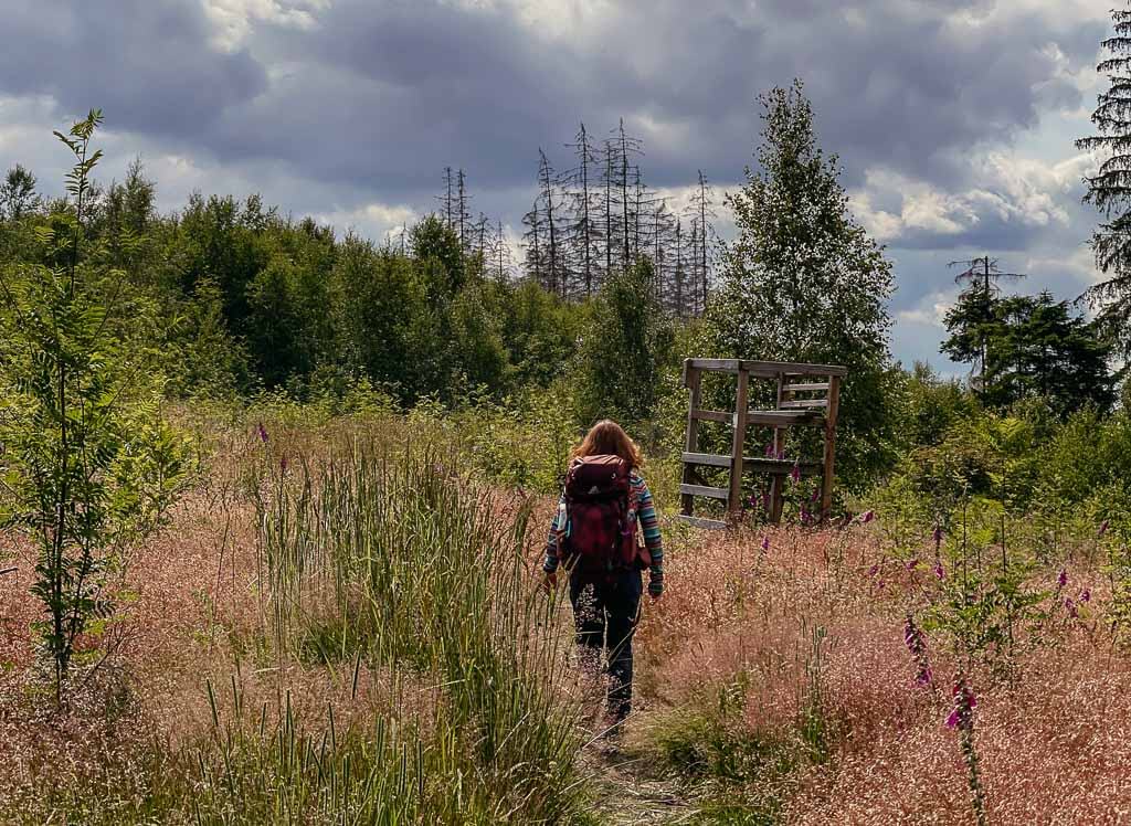 Sauerland Wanderd&ouml;rfer - Couchflucht beim Wandern auf dem Rothaarsteig bei Brilon