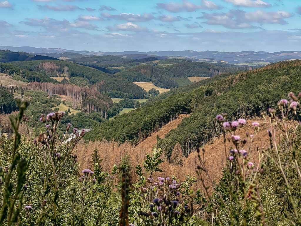 Sauerland Wanderd&ouml;rfer - Berg- und Waldlandschaft auf dem Veischeder Sonnenpfad