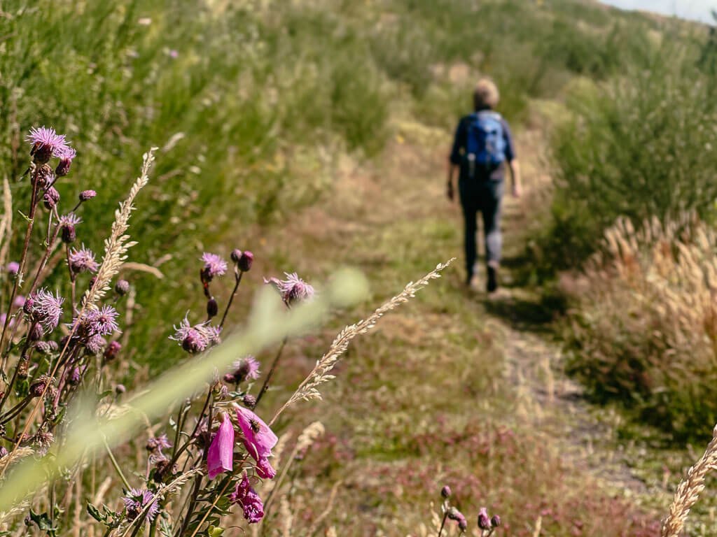 Sauerland Wanderd&ouml;rfer - Wandern auf dem Veischeder Sonnenpfad bei Lennestadt
