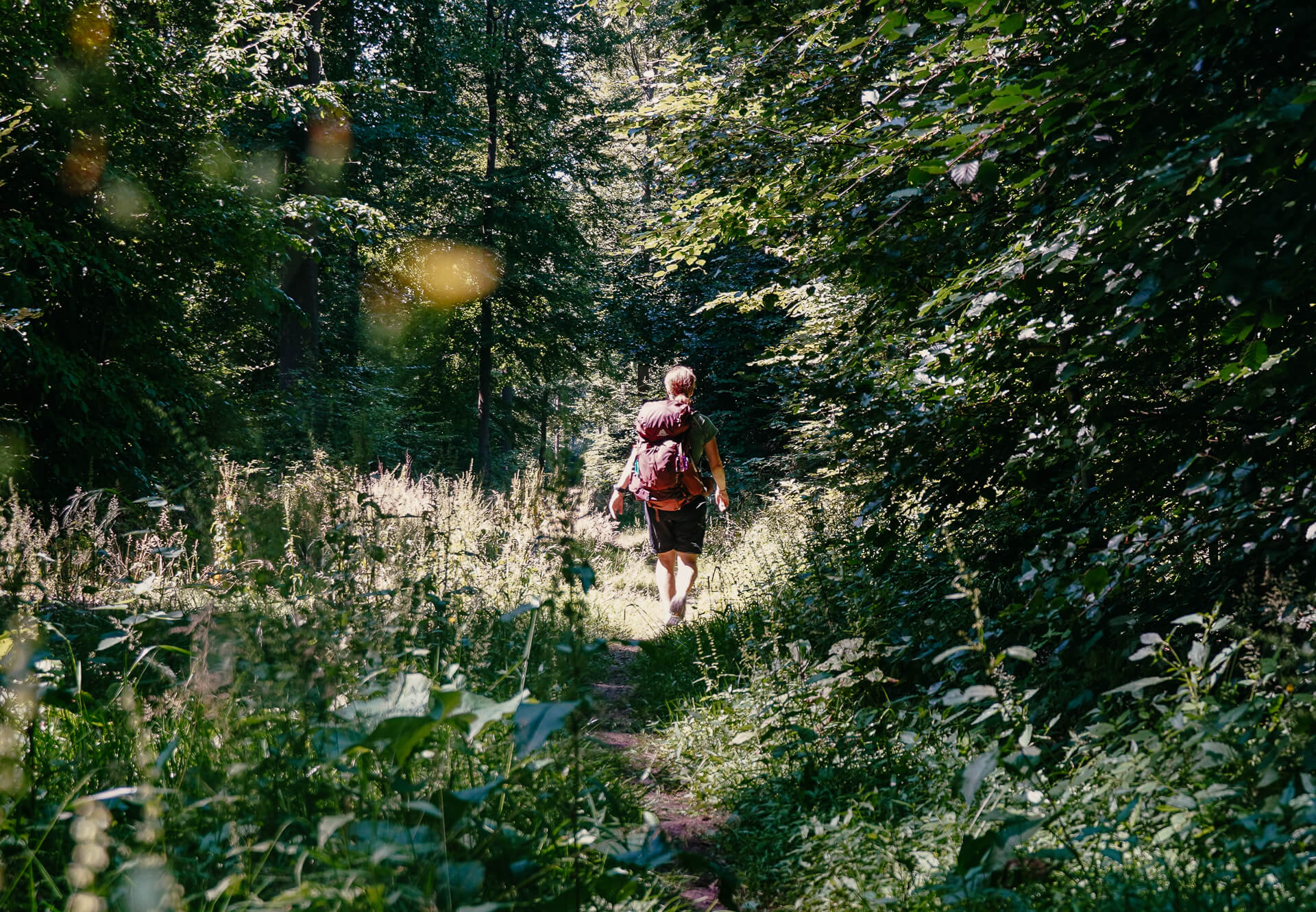 Couchflucht wandert auf dem Archotrail in der Solling-Vogler-Region