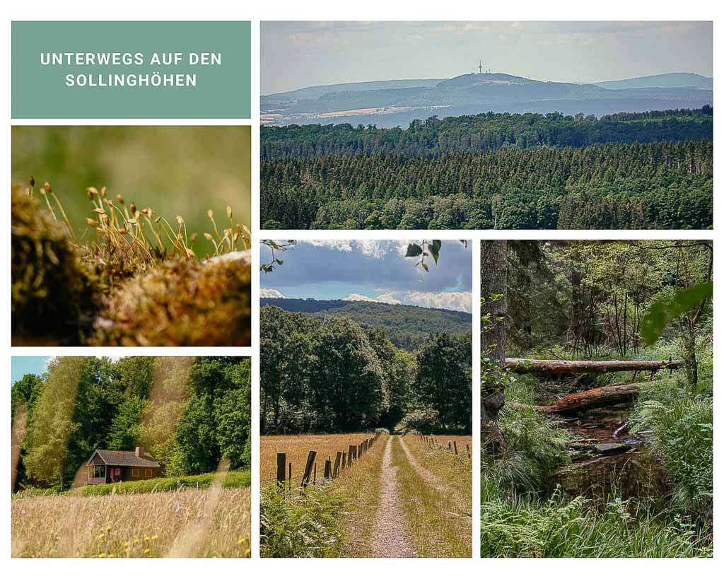 Solling-Vogler-Region - Wandern auf der Qualit&auml;tstour Sollingh&ouml;hen
