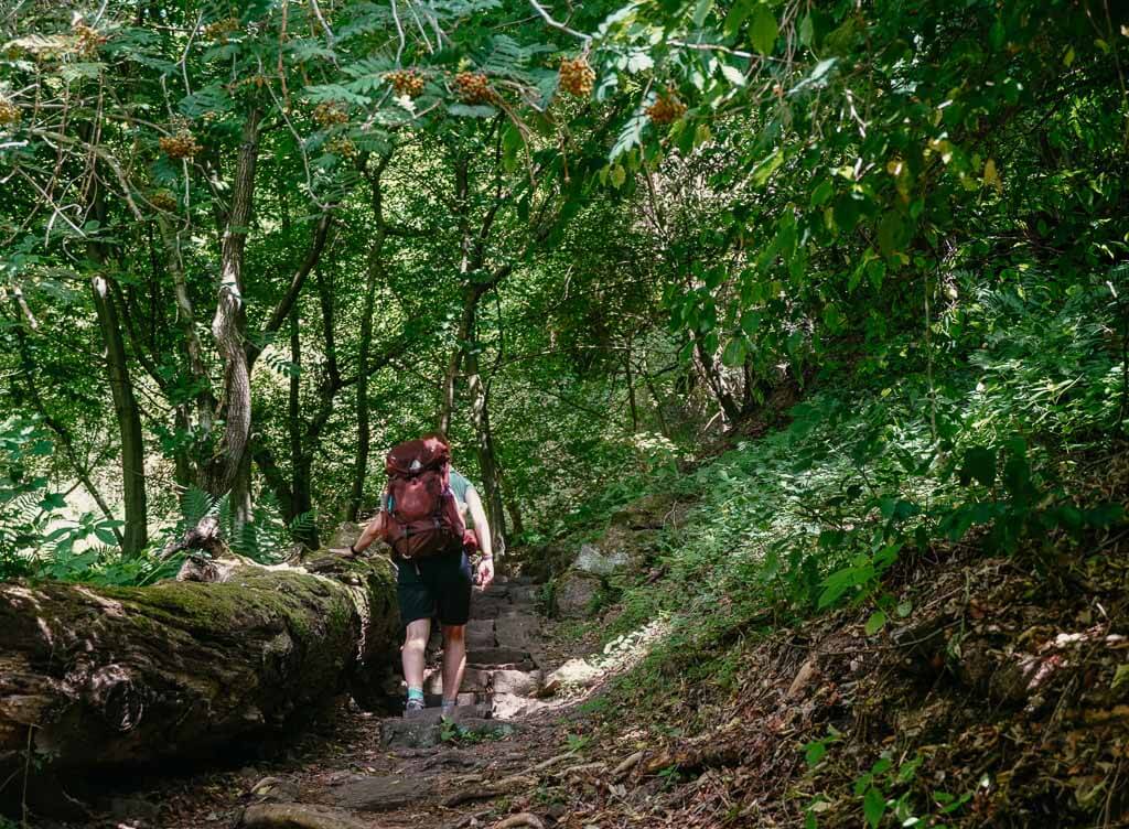 Klippenpfad beim Wandern auf dem Archotrail zum Weser Skywalk