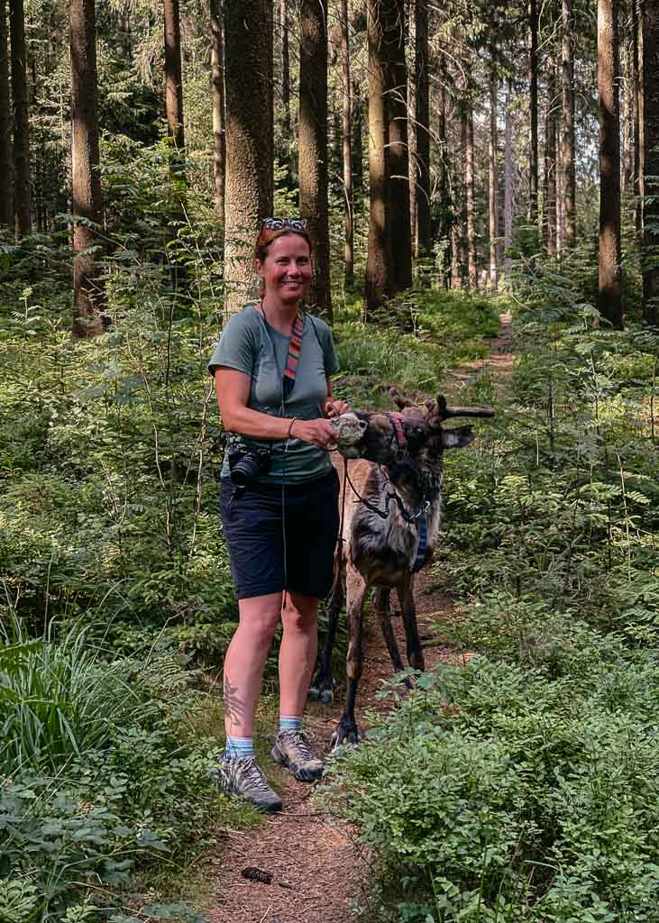 Qualit&auml;tsregion - Rentier-Trekking mit Couchflucht an der Wildnisfarm in der Solling-Vogler-Region