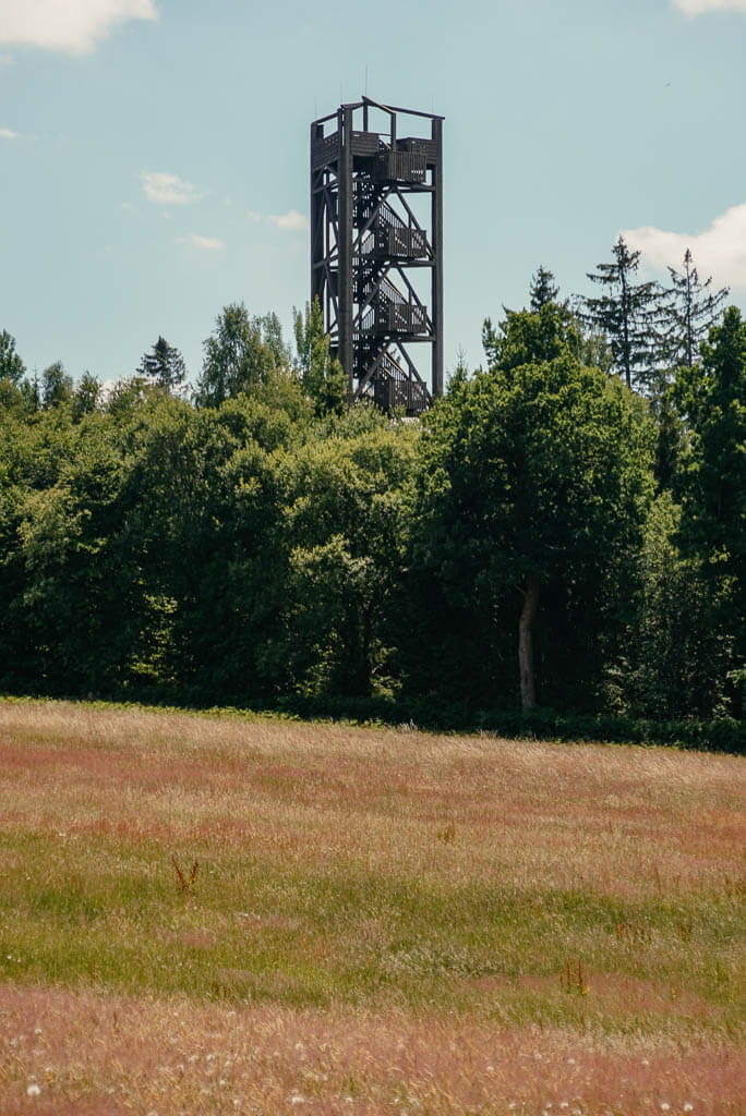 Hochsollingturm bei Neuhaus in der Solling-Vogler-Region
