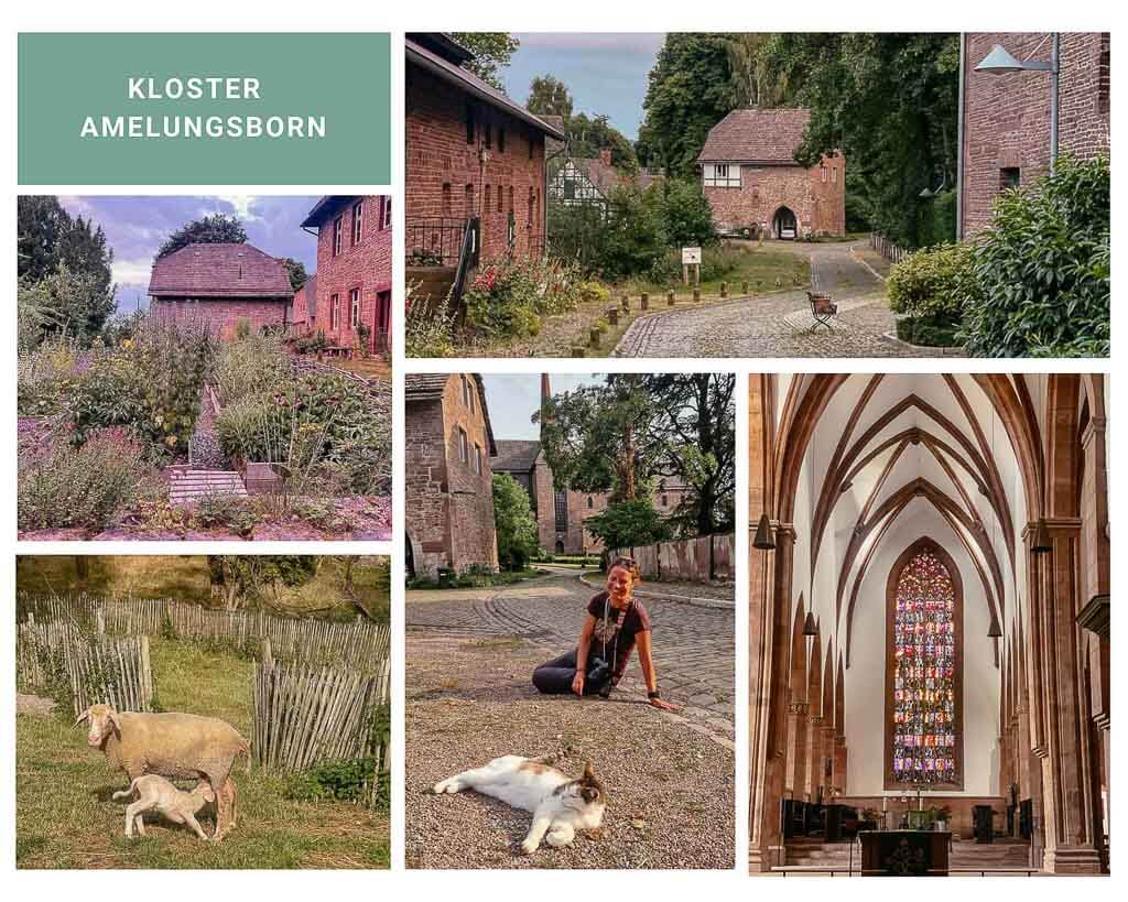 Kloster Amelungsborn in der Solling-Vogler-Region