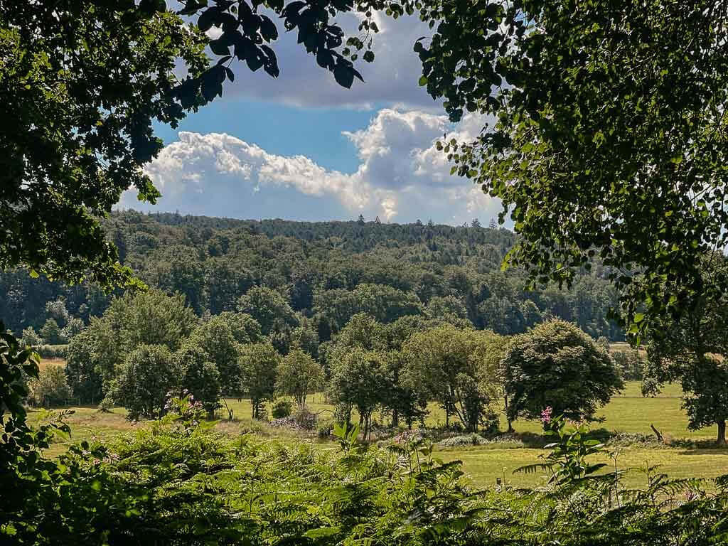 Solling-Vogler-Region - Idyllische Landschaft im Ahletal