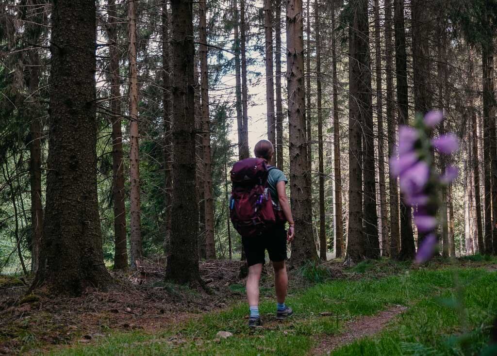 Wandern in der Solling-Vogler-Region auf dem Wanderweg Sollingh&ouml;hen mit Couchflucht