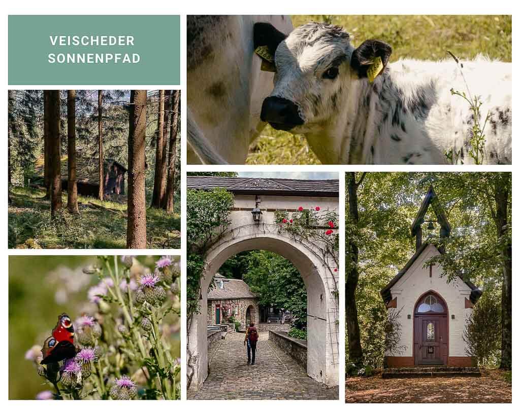 Qualit&auml;tsregionen - Wandern in den Sauerland-Wanderd&ouml;rfern auf dem Veischeder Sonnenpfad bei Brilon