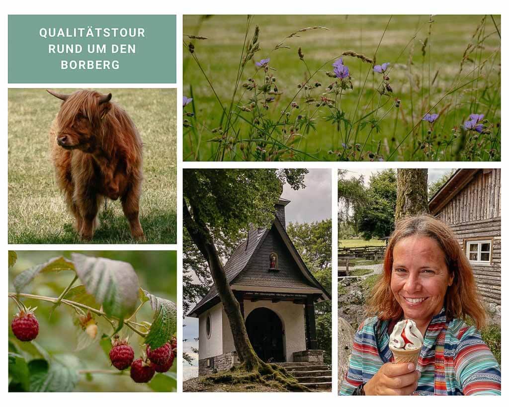 Couchflucht beim Wandern auf der Qualit&auml;tstour rund um den Borberg bei Brilon im Sauerland