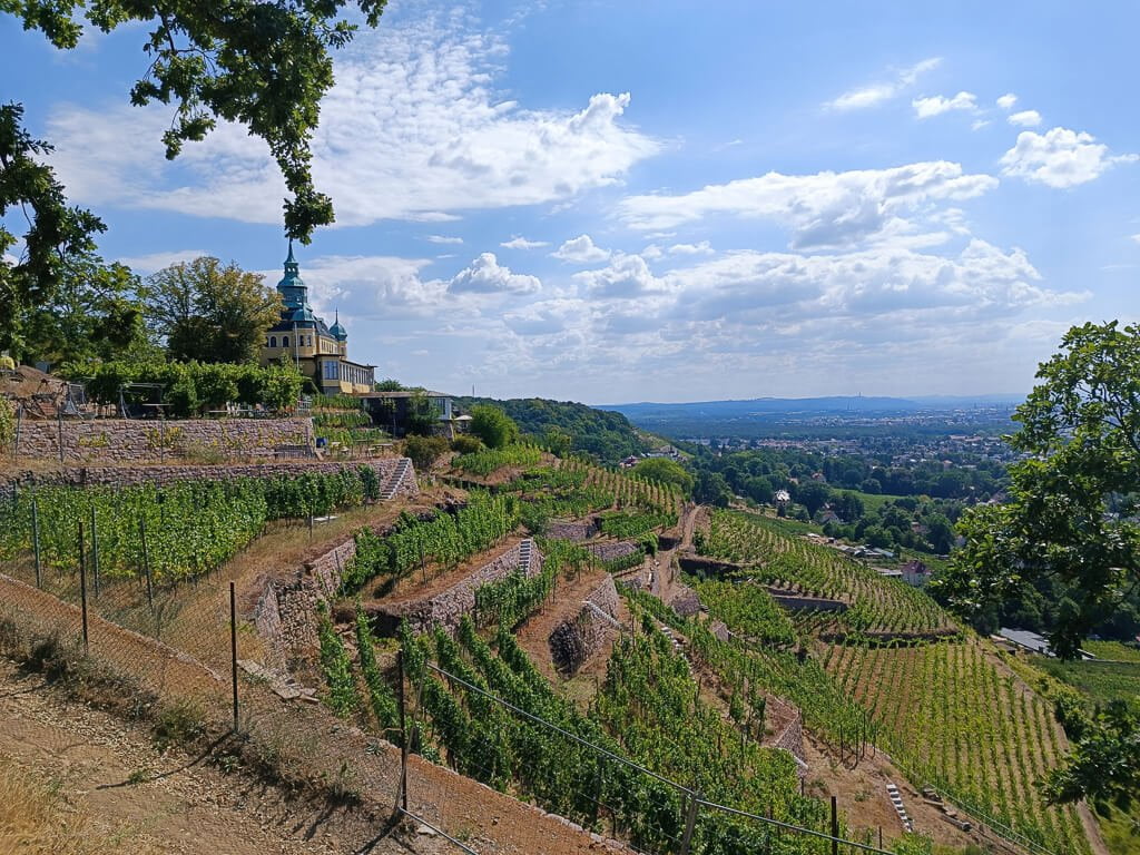 Dresden-wandern-Weinberge-S&auml;chsischer-Weinwanderweg
