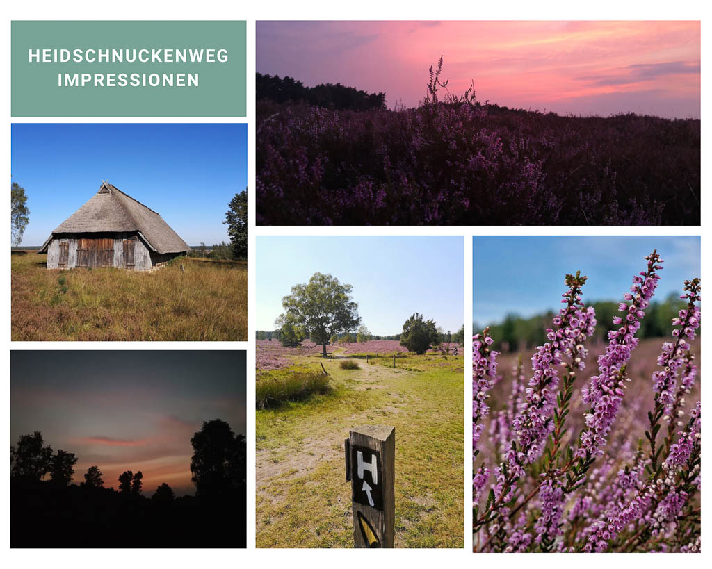 Heidschnuckenweg - Landschaft - L&uuml;neburger Heide