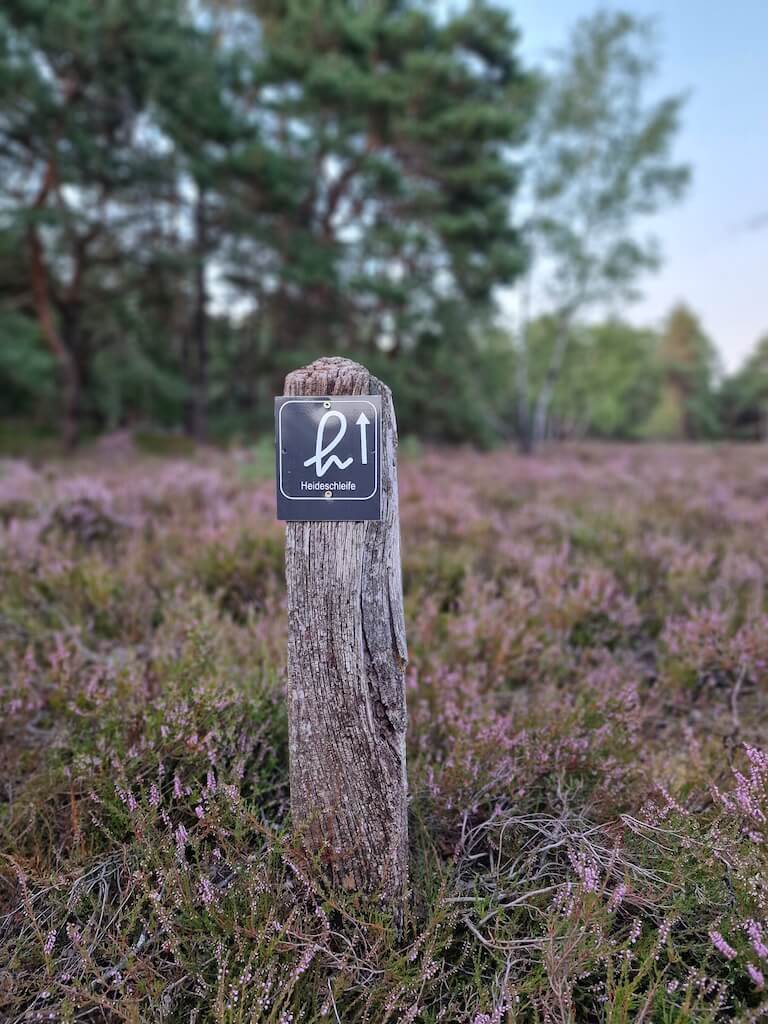 Markierung einer der Heideschleifen in der Fischbeker Heide