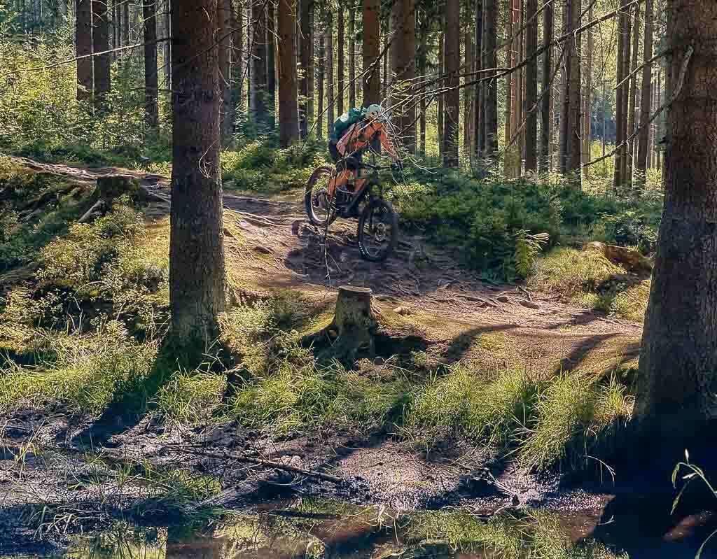 Mountainbiker auf wurzeligem Trail an den Rissf&auml;llen im Vogtland