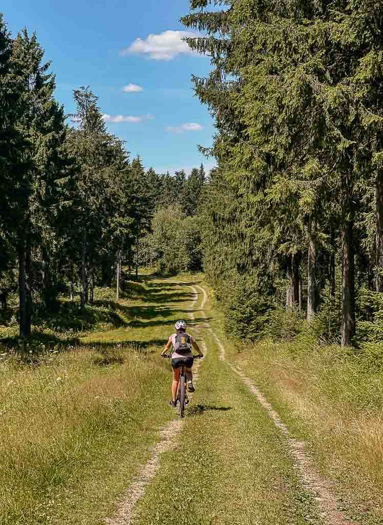 Mountainbiken auf einem Waldweg bei Sch&ouml;neck im Vogtland