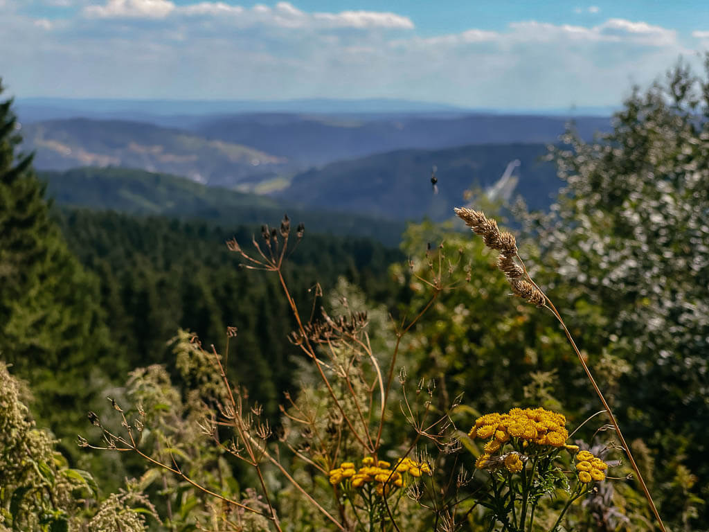 Ausblick von der Zentralschachthalde auf die Skisprungschanze im Vogtland