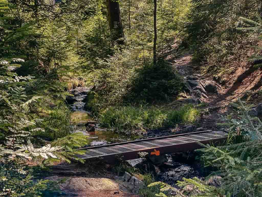Wanderweg Felsenweg entlang der Rissf&auml;lle im Vogtland