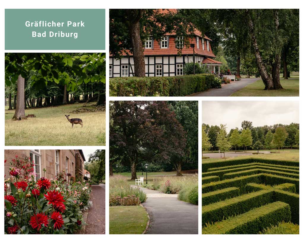 Gr&auml;flicher Park von Bad Driburg im Teutoburger Wald