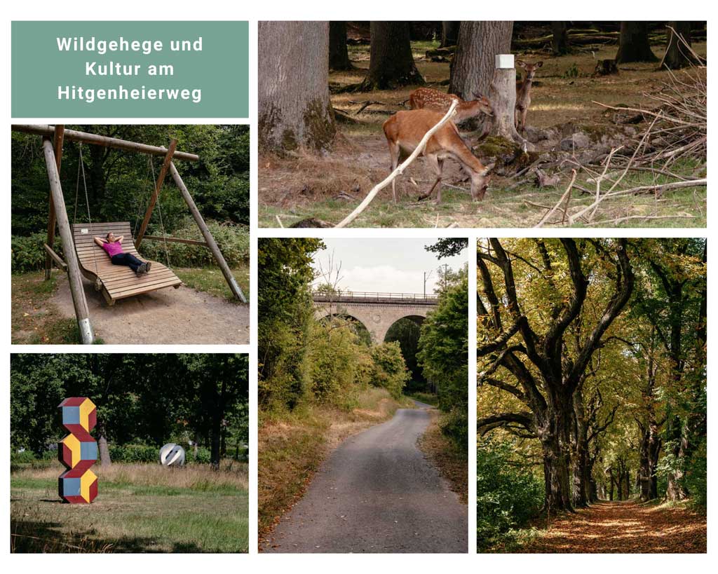 Teutoburger Wald Wandern auf dem Hitgenheierweg bei Willebadessen