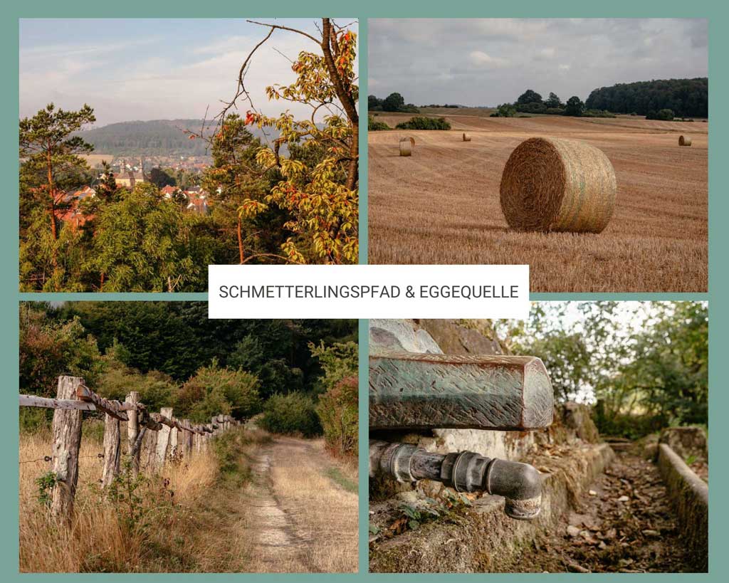 Teutoburger Wald Wandern auf dem Hitgenheierweg bei Willebadessen