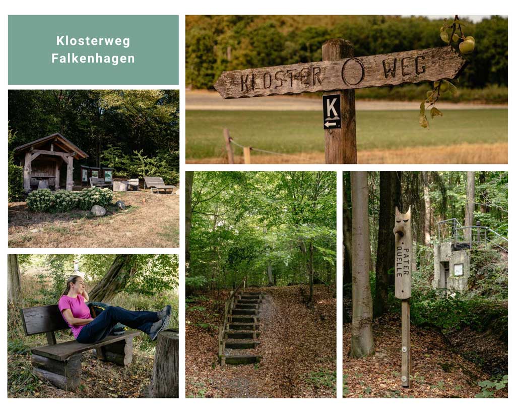 Teutoburger Wald Wandern auf dem Klosterweg Falkenaugen