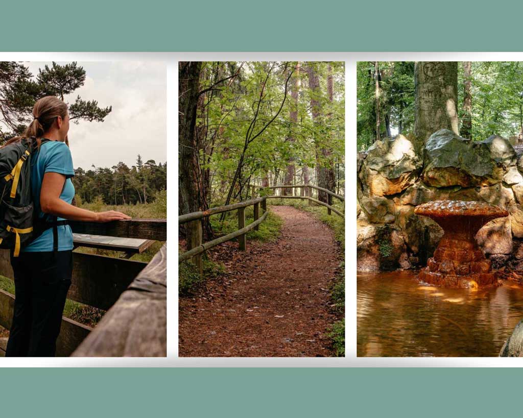 Teutoburger Wald Wandern auf dem Pivitker Wasserweg