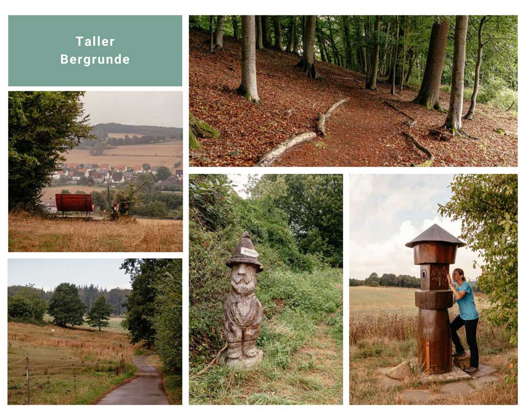 Teutoburger Wald Wandern auf der Taller Bergrunde