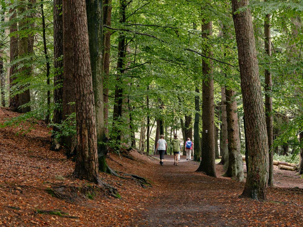 Teutoburger Wald Wandern auf dem Pivitker Wasserweg