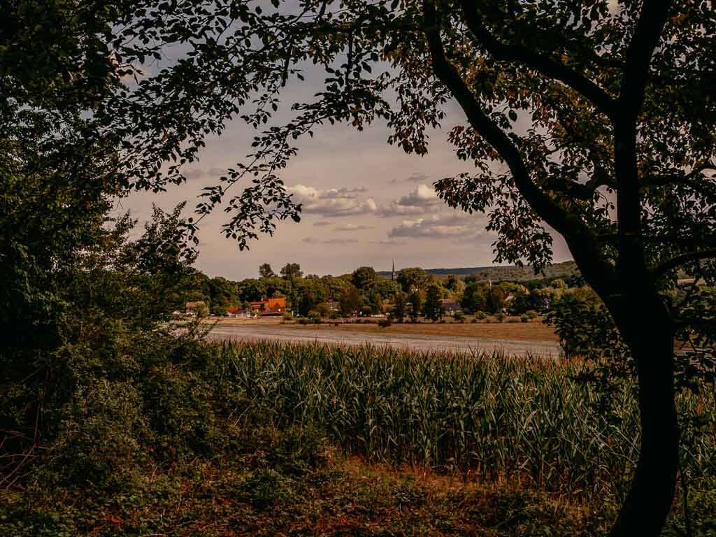 Lamdschaftspanorama beim Wandern im Teutoburger Wald