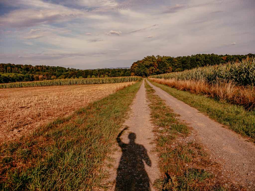 Teutoburger Wald Wandern auf einem Feldweg