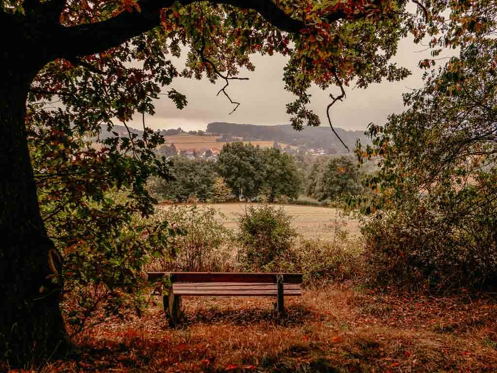Bank mit Aussicht auf Talle beim Wandern im Teutoburger Wald
