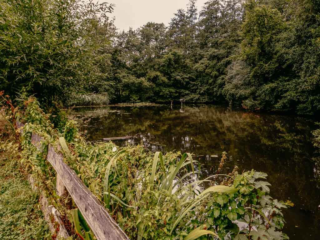 See im Wald beim Wandern im Teutoburger Wald